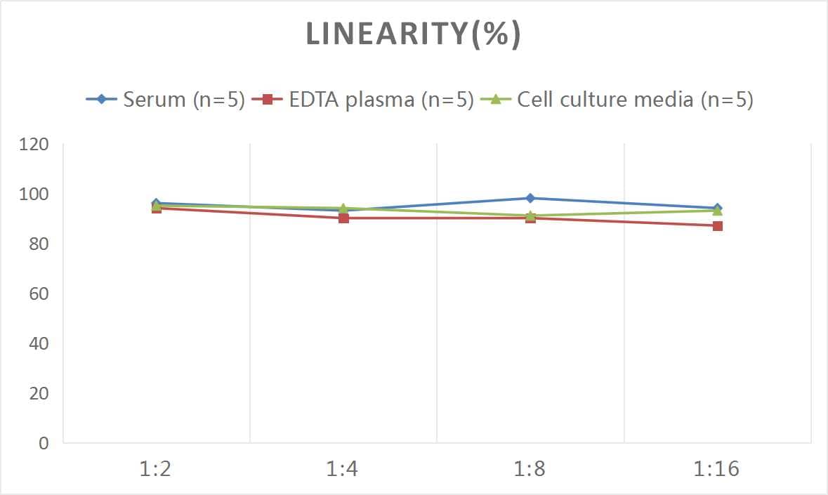 Human Complement Factor H-related 4/CFHR4 ELISA Kit (Colorimetric)