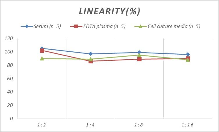 Human Cofilin ELISA Kit (Colorimetric)