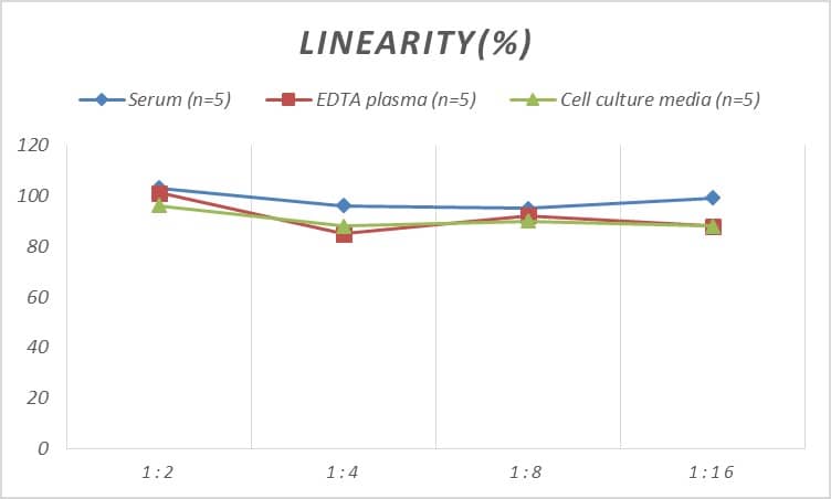 Rat Cofilin ELISA Kit (Colorimetric)