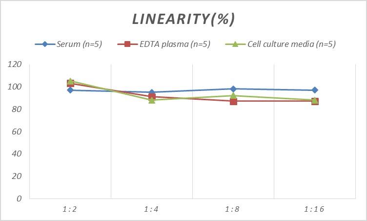 Human Cofilin 2 ELISA Kit (Colorimetric)