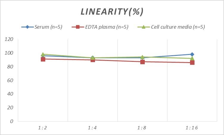 Rat Cofilin 2 ELISA Kit (Colorimetric)