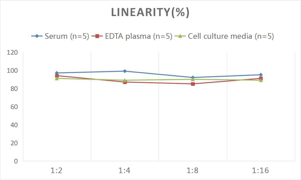 Human CFTR ELISA Kit (Colorimetric)