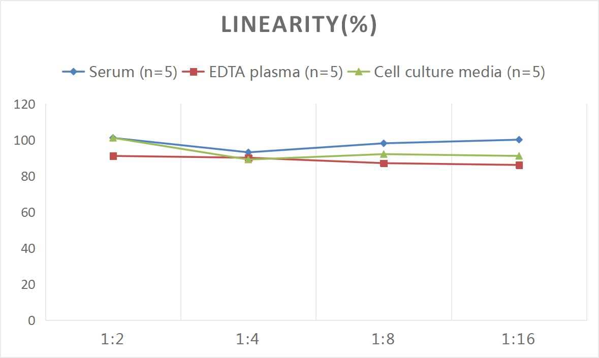 Monkey Chorionic Gonadotropin beta Chain (hCG beta) ELISA Kit (Colorimetric)