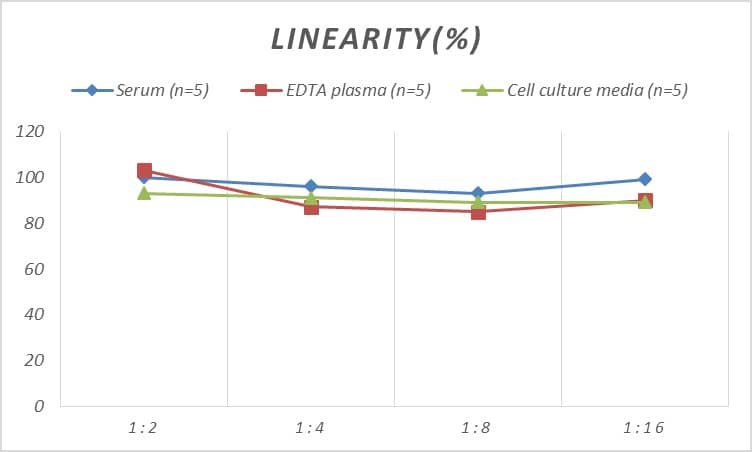 Human Choline Acetyltransferase/ChAT ELISA Kit (Colorimetric)