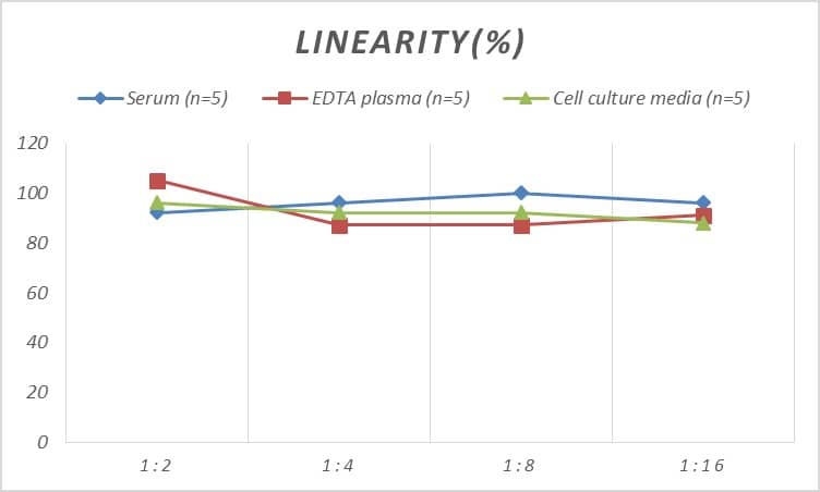 Rat Choline Acetyltransferase/ChAT ELISA Kit (Colorimetric)