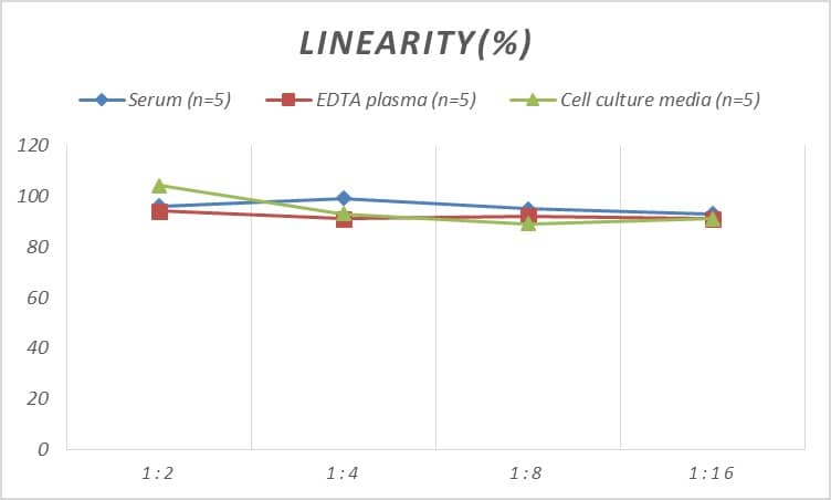 Human CHD3 ELISA Kit (Colorimetric)