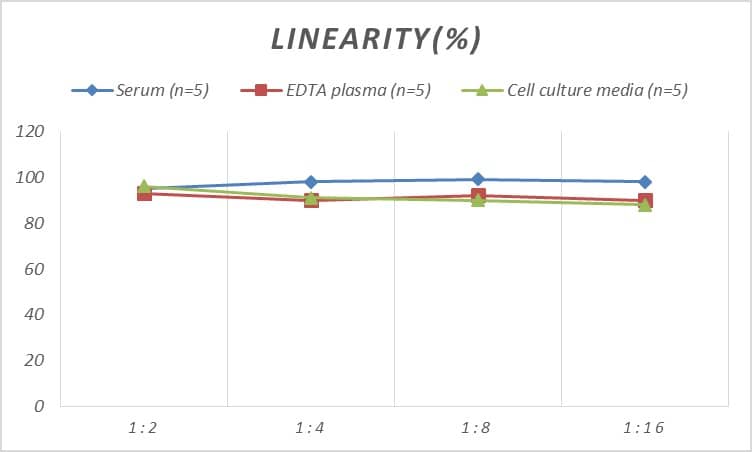 Rat CHD3 ELISA Kit (Colorimetric)