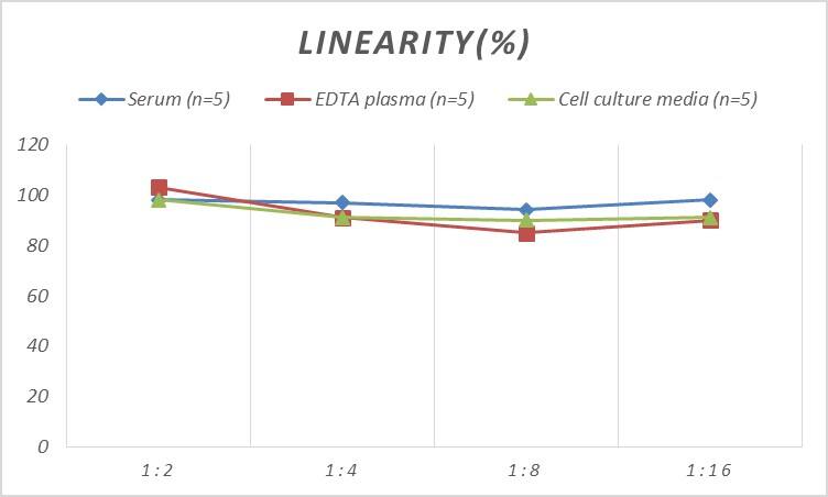 Mouse CHD5 ELISA Kit (Colorimetric)