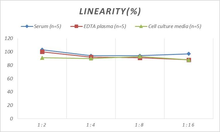 Rat CHD5 ELISA Kit (Colorimetric)