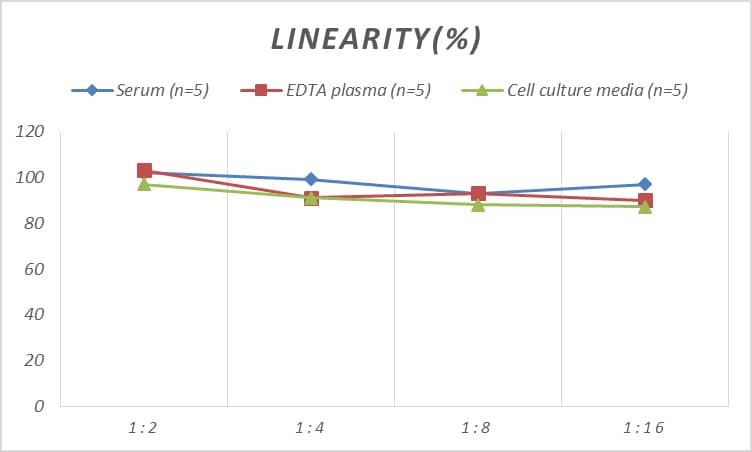 Rat Chemerin ELISA Kit (Colorimetric)