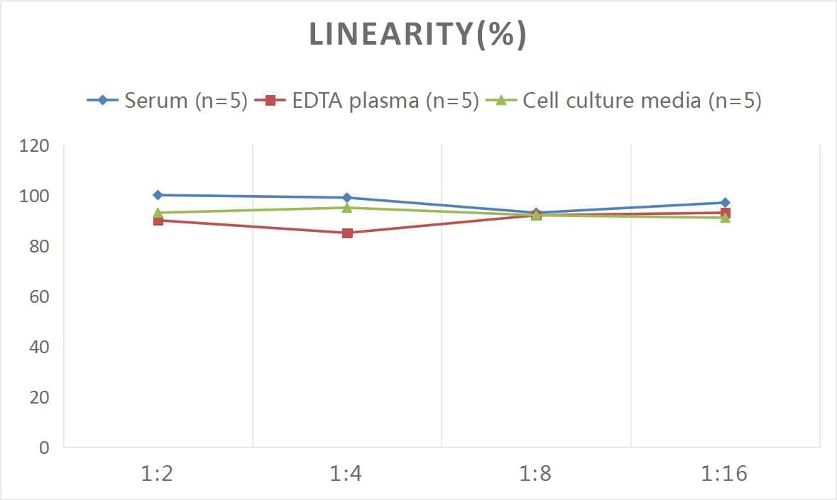 Human Chitotriosidase/CHIT1 ELISA Kit (Colorimetric)