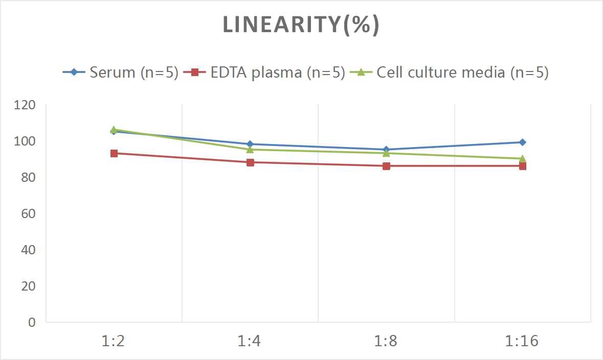 Mouse Muscarinic Acetylcholine Receptor M1/CHRM1 ELISA Kit (Colorimetric)