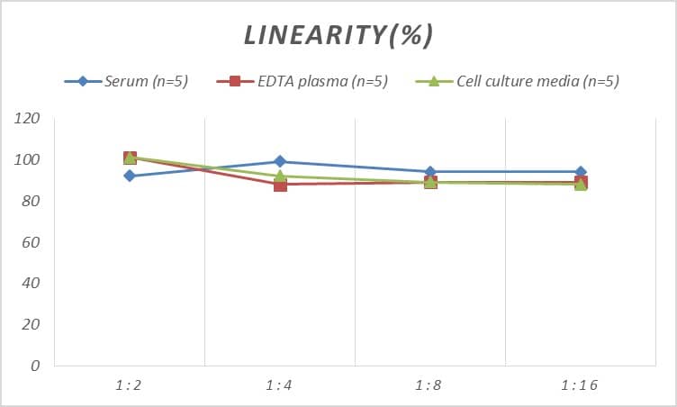 Human c-jun ELISA Kit (Colorimetric)