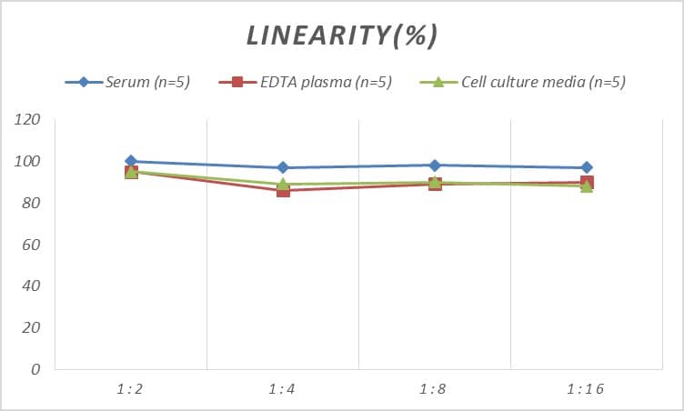 Mouse c-jun ELISA Kit (Colorimetric)