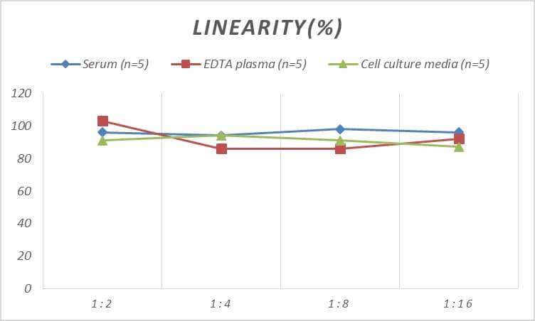 Rat c-jun ELISA Kit (Colorimetric)