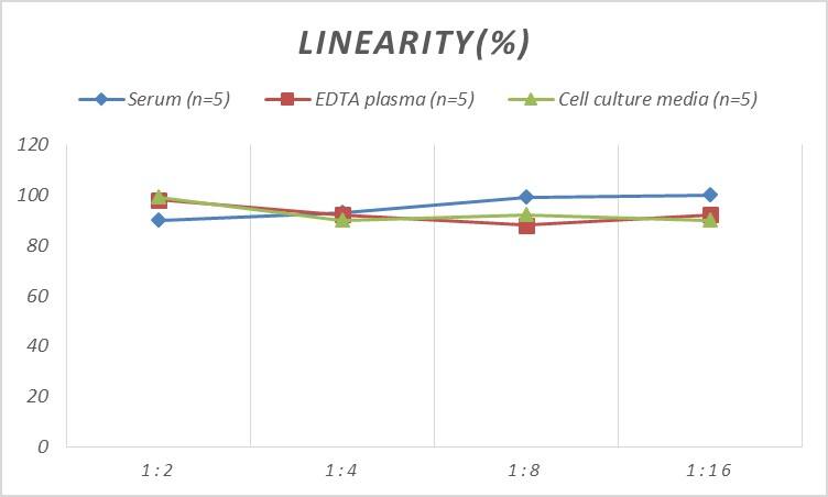 Human Cytokeratin 13 ELISA Kit (Colorimetric)