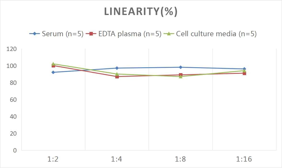 Human Cytokeratin 17 ELISA Kit (Colorimetric)