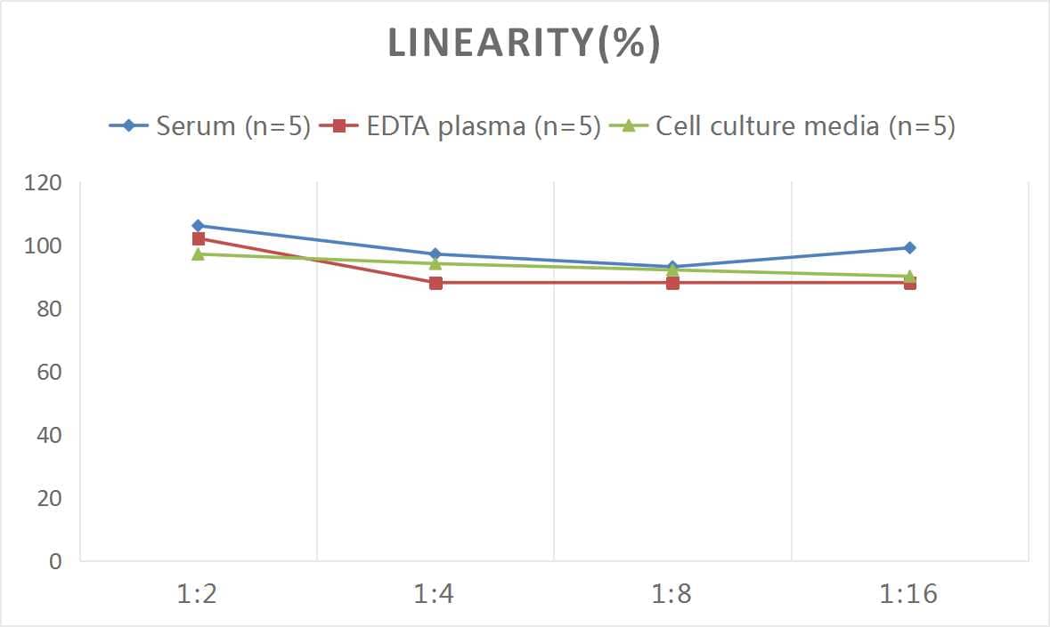 Rat Cytokeratin 18 ELISA Kit (Colorimetric)