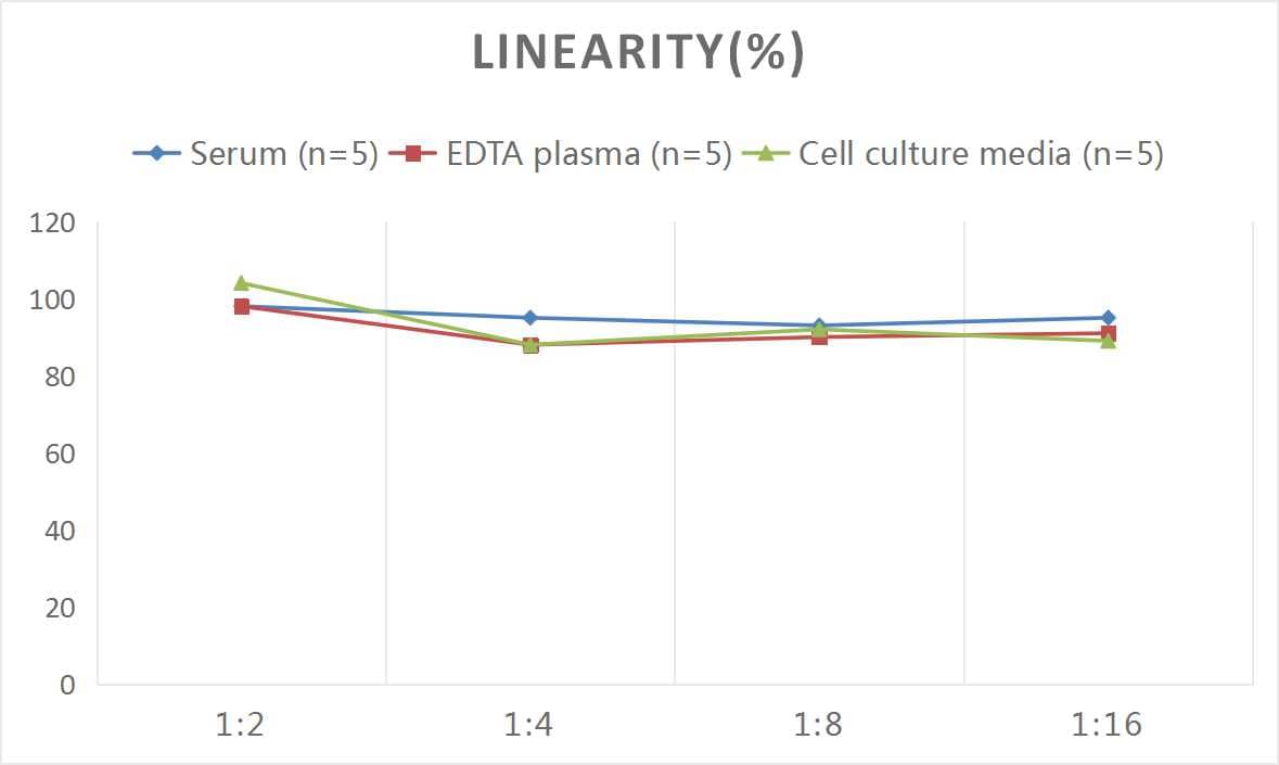 Human Cytokeratin 19 ELISA Kit (Colorimetric)