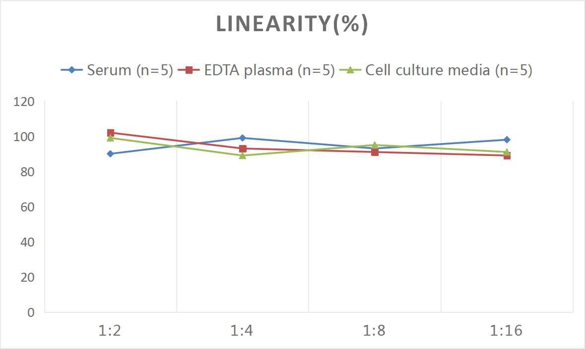 Human Cytokeratin 20 ELISA Kit (Colorimetric)