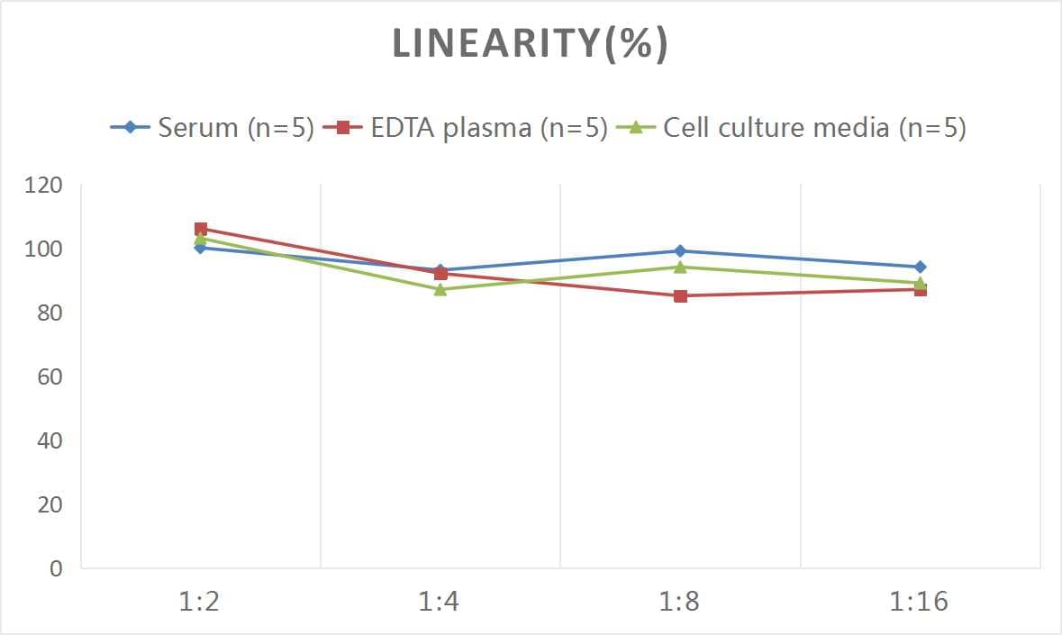 Human Creatine Kinase BB ELISA Kit (Colorimetric)