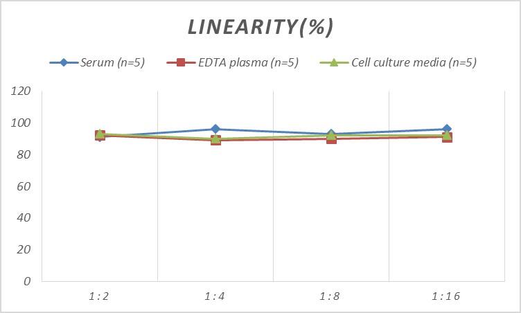 Rat Chemokine-like factor ELISA Kit (Colorimetric)