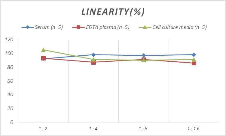 Mouse CMTM5 ELISA Kit (Colorimetric)