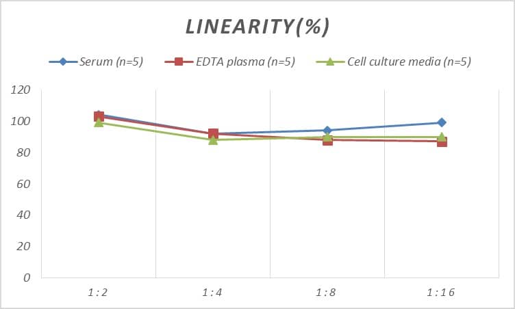 Rat CMTM5 ELISA Kit (Colorimetric)