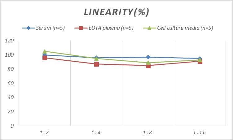 Human CMTM6 ELISA Kit (Colorimetric)