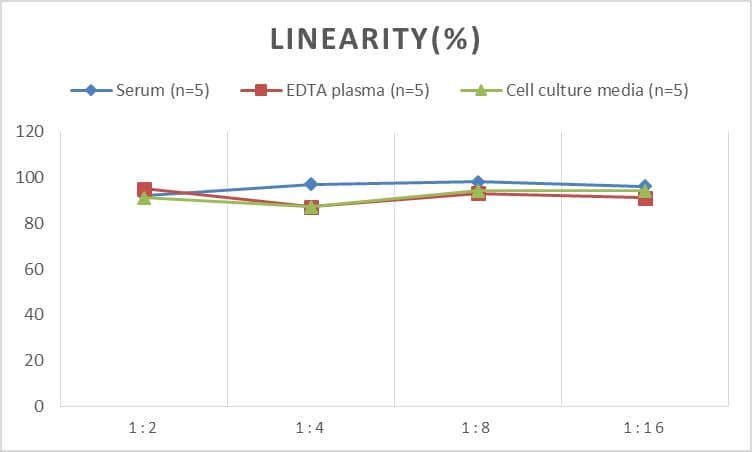 Mouse CMTM6 ELISA Kit (Colorimetric)