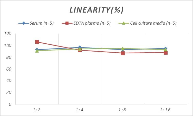 Rat CMTM7 ELISA Kit (Colorimetric)