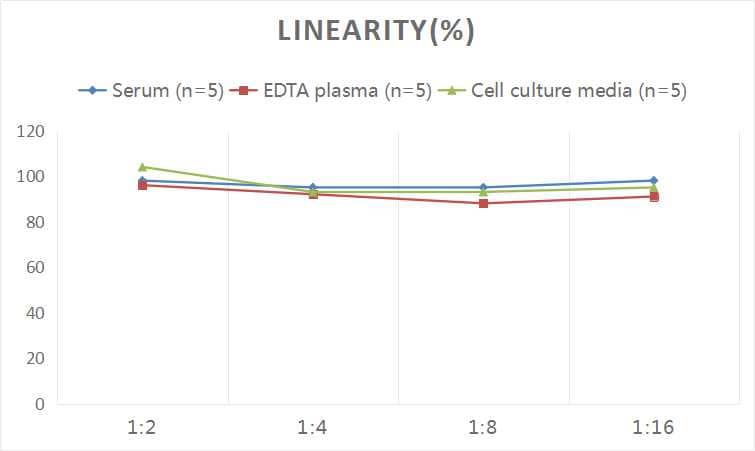 Human Creatine Kinase, Muscle/CKMM ELISA Kit (Colorimetric)