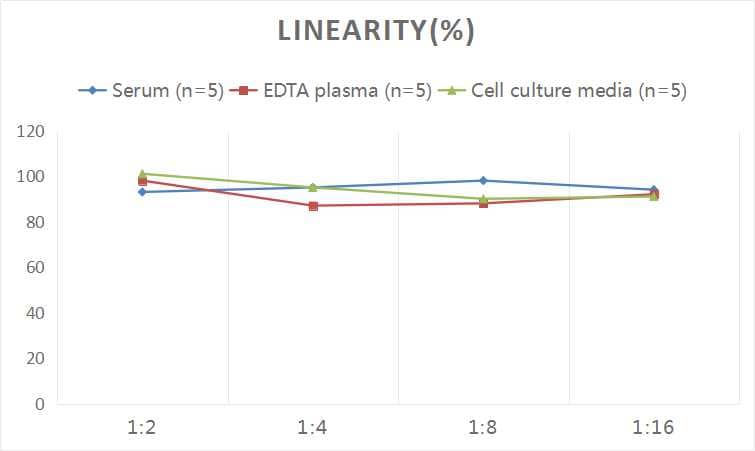 Human Creatine Kinase MB ELISA Kit (Colorimetric)