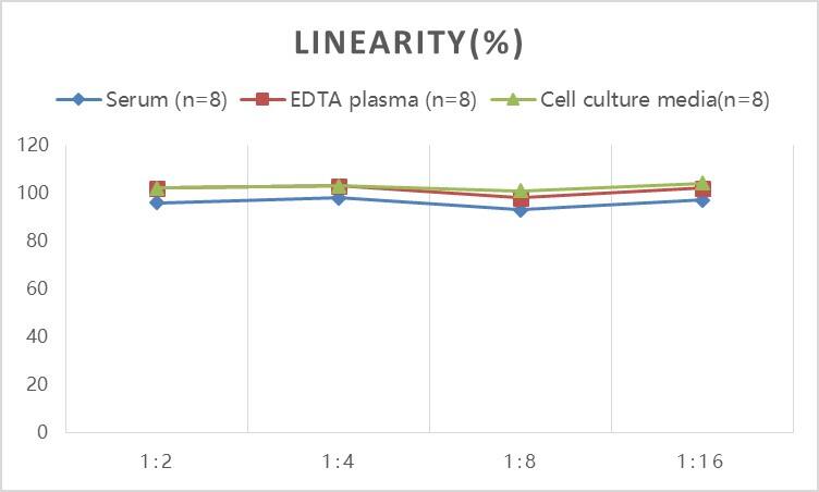 Rabbit Creatine Kinase MB ELISA Kit (Colorimetric)