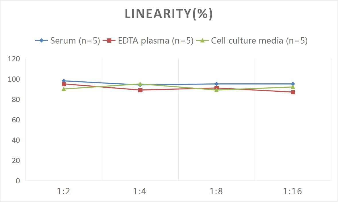 Mouse Creatine Kinase MB ELISA Kit (Colorimetric)