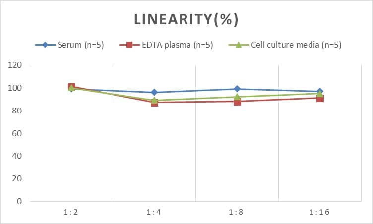 Mouse Creatine kinase MT 1B ELISA Kit (Colorimetric)