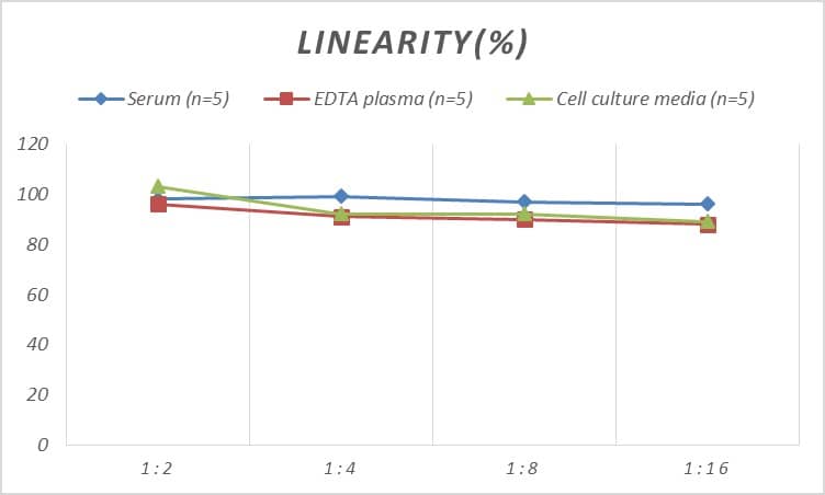 Rat Creatine kinase MT 1B ELISA Kit (Colorimetric)