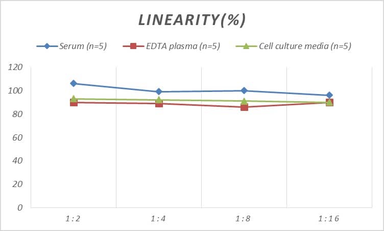 Human CLC ELISA Kit (Colorimetric)