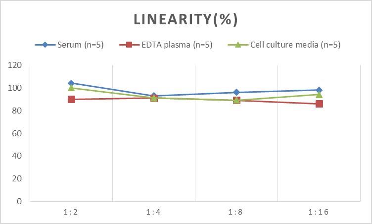 Mouse CLC ELISA Kit (Colorimetric)