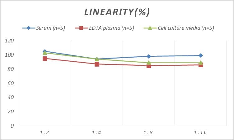 Rat CLC ELISA Kit (Colorimetric)