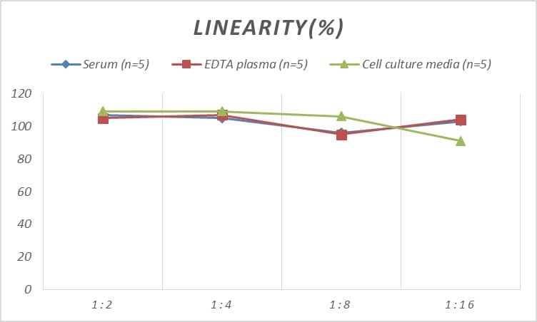 Human Claudin-11 ELISA Kit (Chemiluminescence)