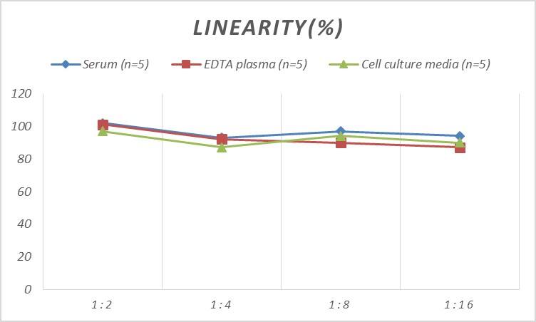 Human Claudin-11 ELISA Kit (Colorimetric)