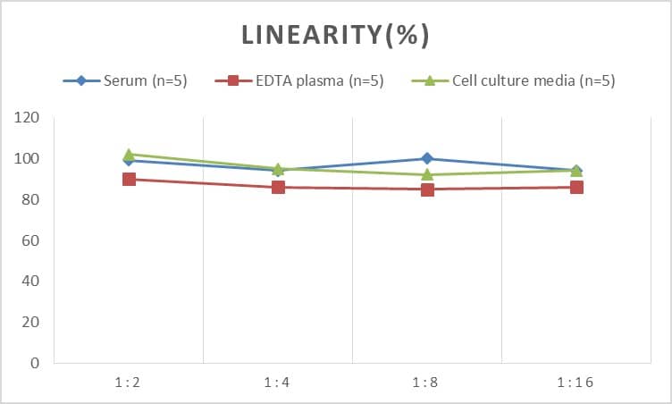 Human Claudin-14 ELISA Kit (Colorimetric)