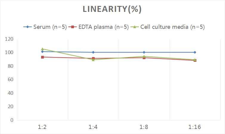 Human Claudin-5 ELISA Kit (Colorimetric)