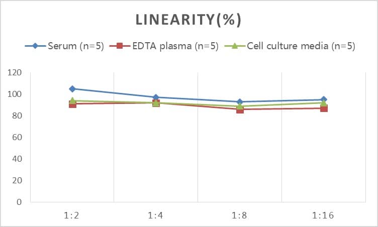 Rat Claudin-5 ELISA Kit (Colorimetric)