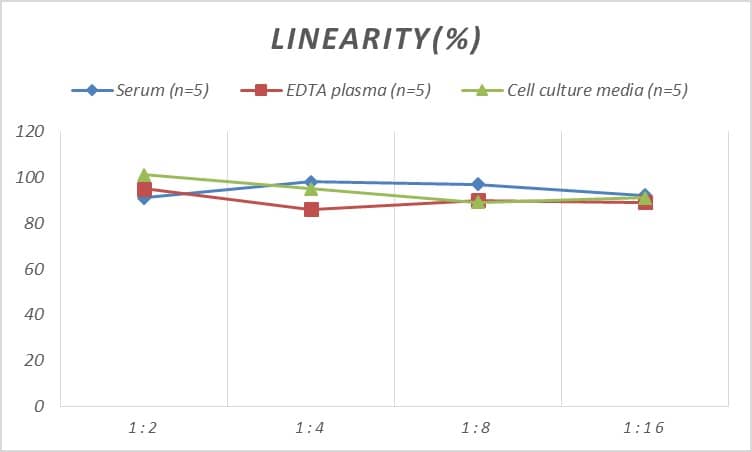 Rat CD69 ELISA Kit (Colorimetric)