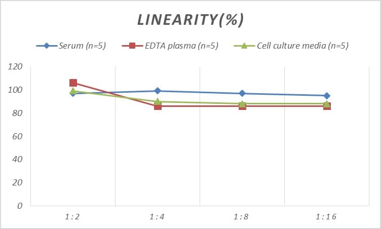 Human CLS1 ELISA Kit (Colorimetric)