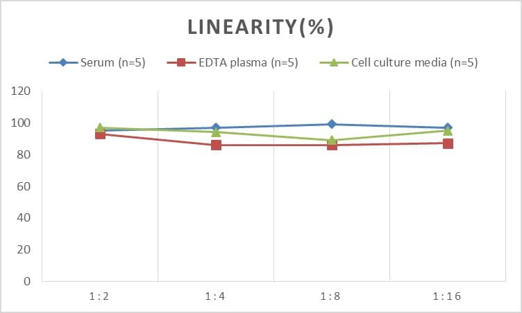 Mouse CLS1 ELISA Kit (Colorimetric)