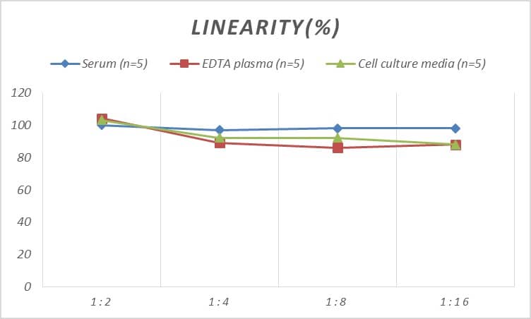 Rat CLS1 ELISA Kit (Colorimetric)