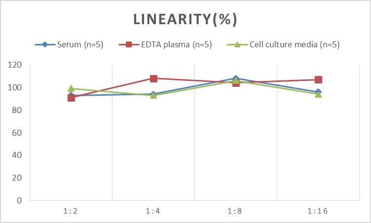 Human TOR/mTOR ELISA Kit (Chemiluminescence)